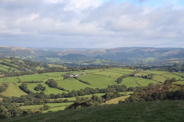 Rolling green fields in the valley