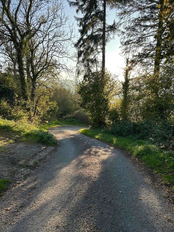 The peaceful country lane by the cottage