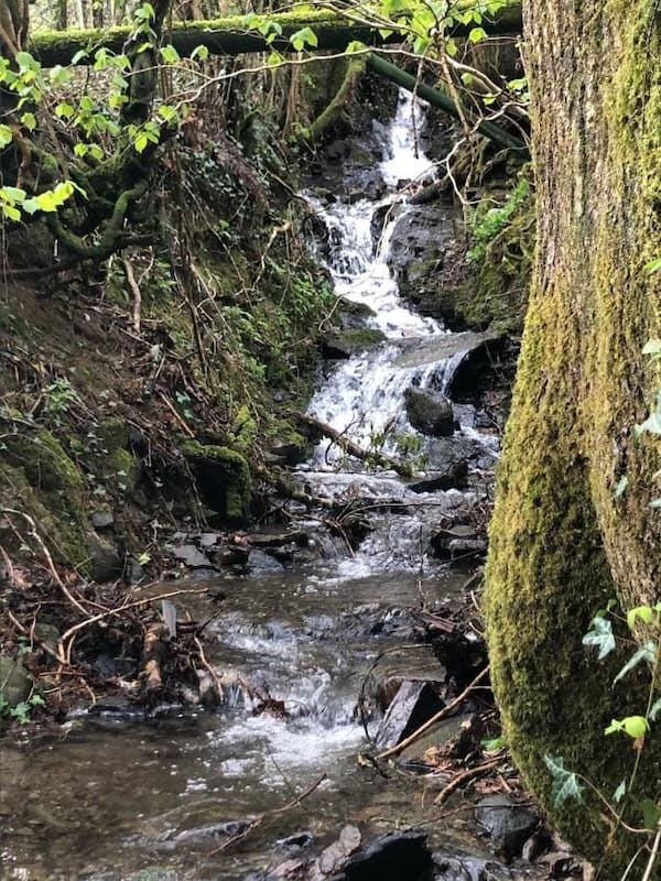 Stream near the cottage