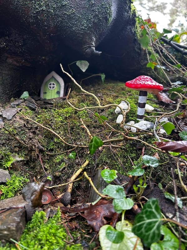 Magical fairy woodland trail