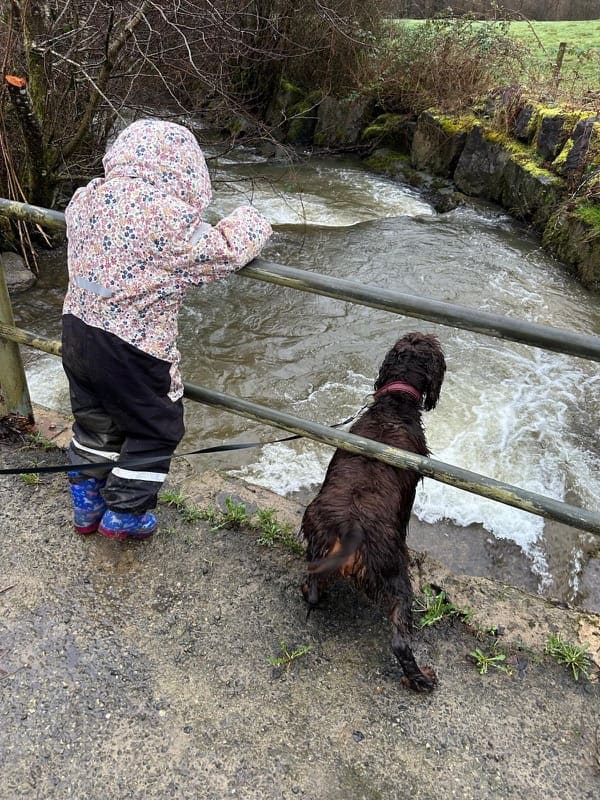 Child and dog playing by the river