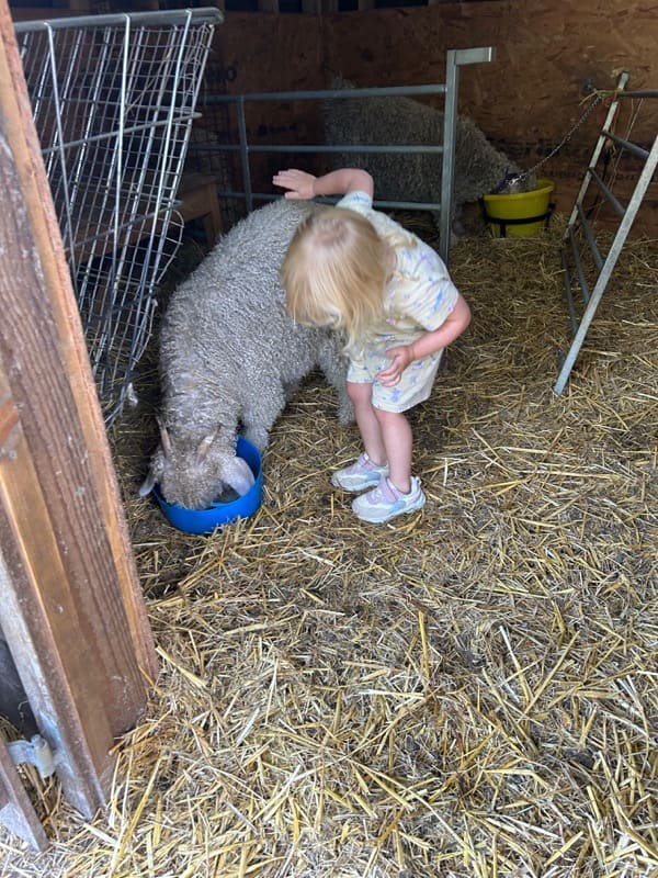 Child walking with our goats