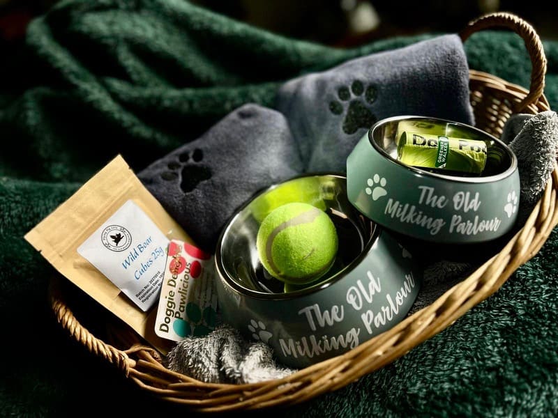 Comfy dog basket setup