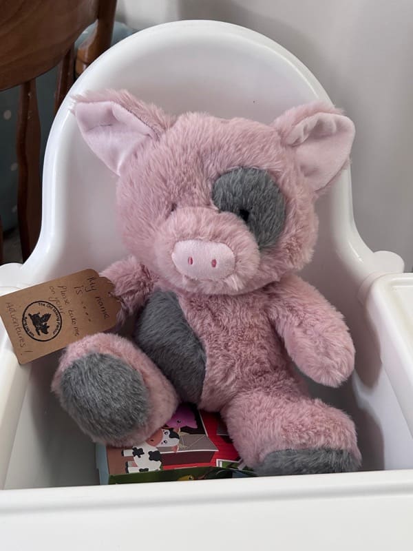 Our Flying Piglet cuddly toy