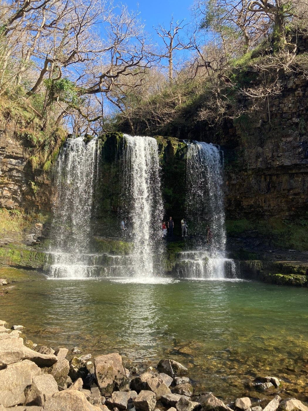 Hidden woodland waterfalls in the region